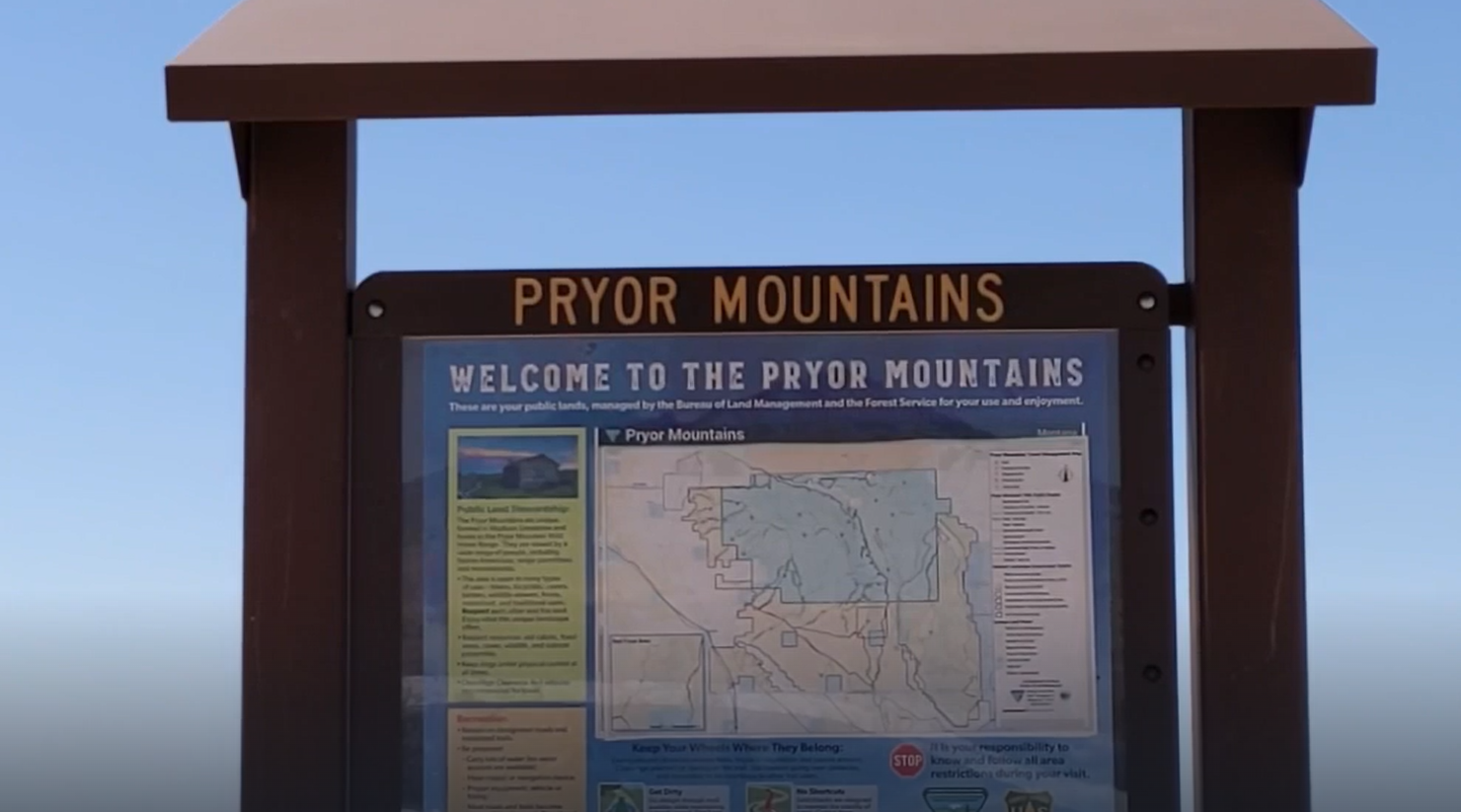 First confirmed sighting of grizzly bear in Pryor Mountains - Vimarsana News