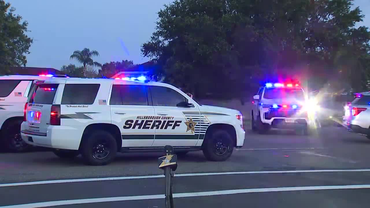 Toddler hit by car, killed in Town 'N' Country after getting out of home: HCSO - Vimarsana News