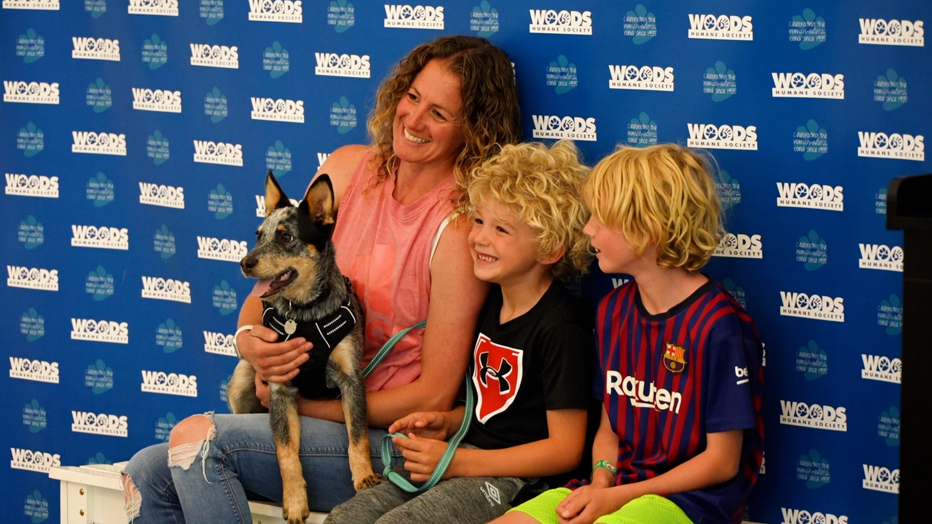 Local organizations to take part in statewide "Adopt-a-Pet-Day" event - Vimarsana News
