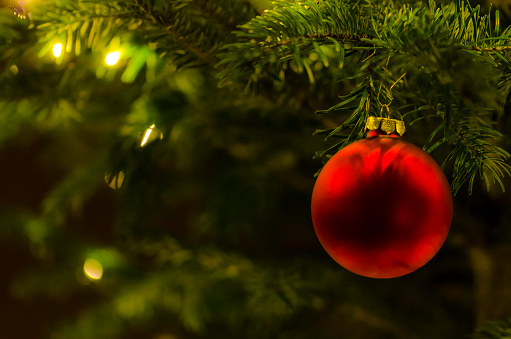 Christmas movies filmed in Michigan to watch this season - Vimarsana News