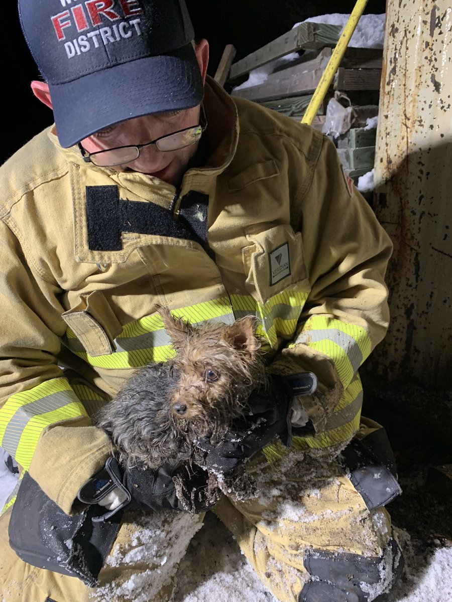 Firefighters rescue dog from underneath storage unit in Weber Co. - Vimarsana News