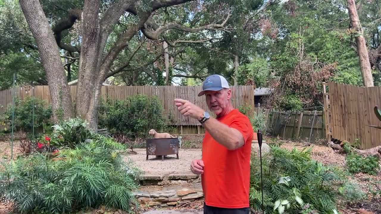 Neighbors still navigating property insurance claims following the tornadoes - Vimarsana News