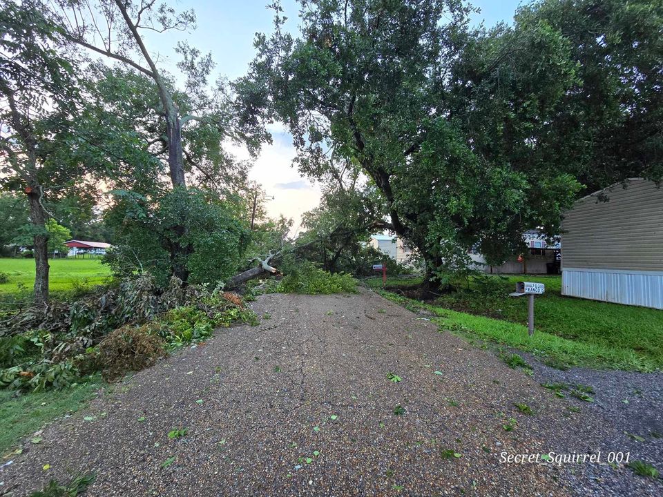 Early morning storms produce damage across parts of Acadiana - Vimarsana News