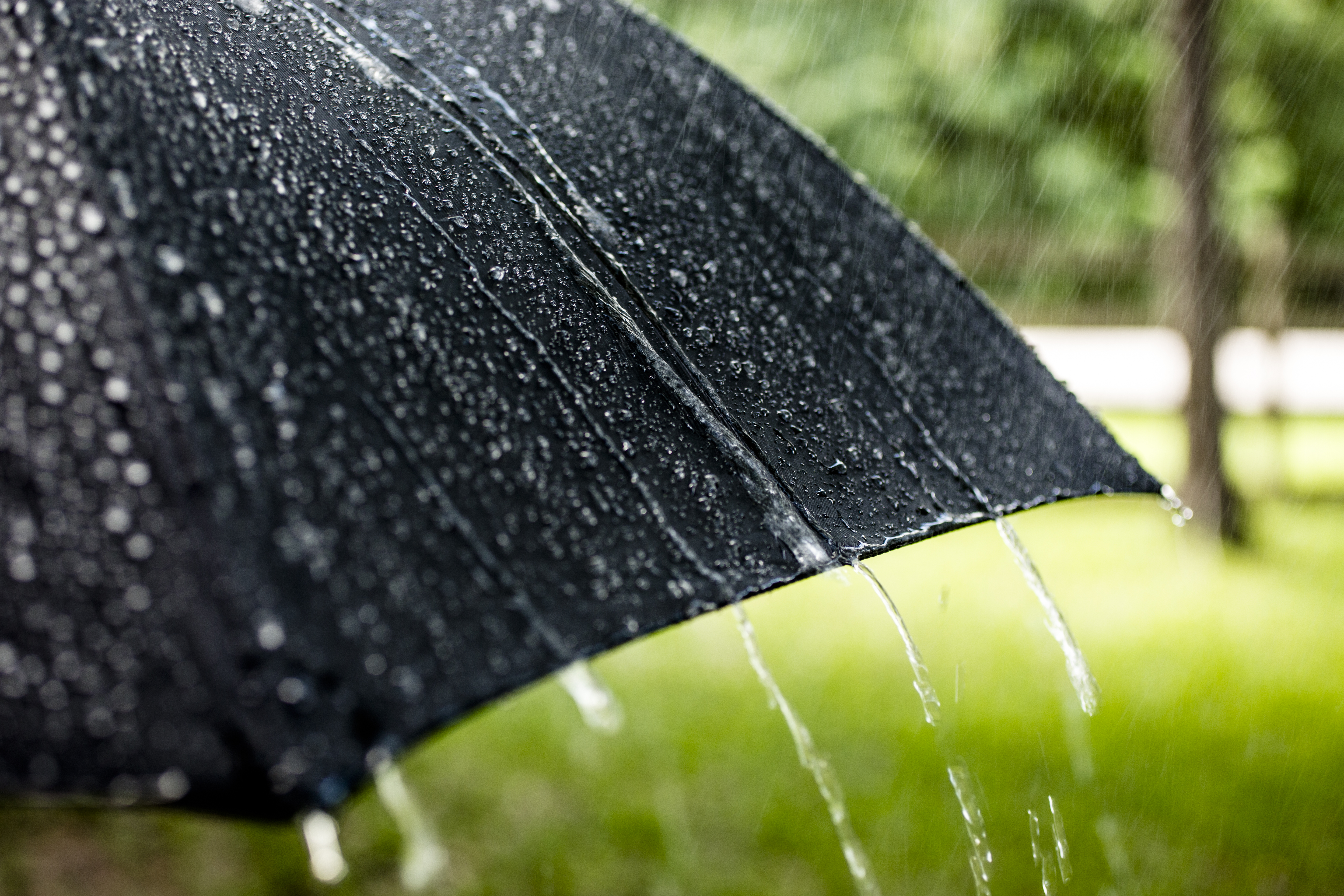 First Warning Forecast: Hot and muggy with a storm threat again, but relief is on the way - Vimarsana News