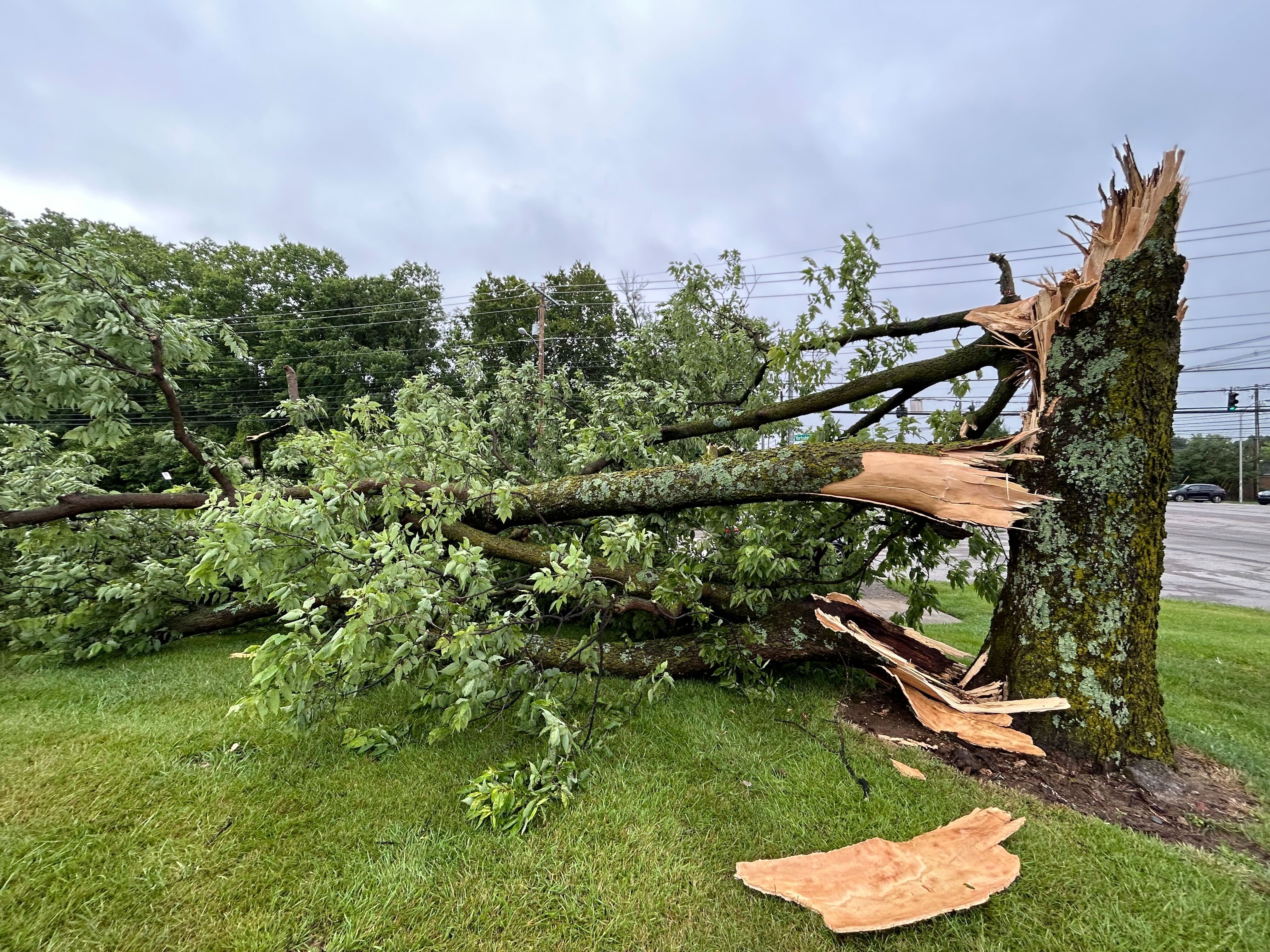 City, power company again blame strong winds for long-term power loss - Vimarsana News