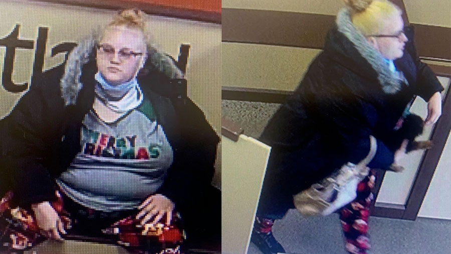 $5,900 Yorkshire Terrier stolen in Murfreesboro; police seek to ID suspect - Vimarsana News