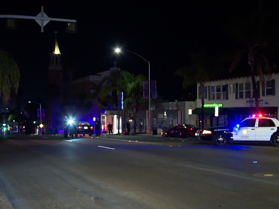 Woman walking dog seriously hurt after being hit by car in North Park - Vimarsana News