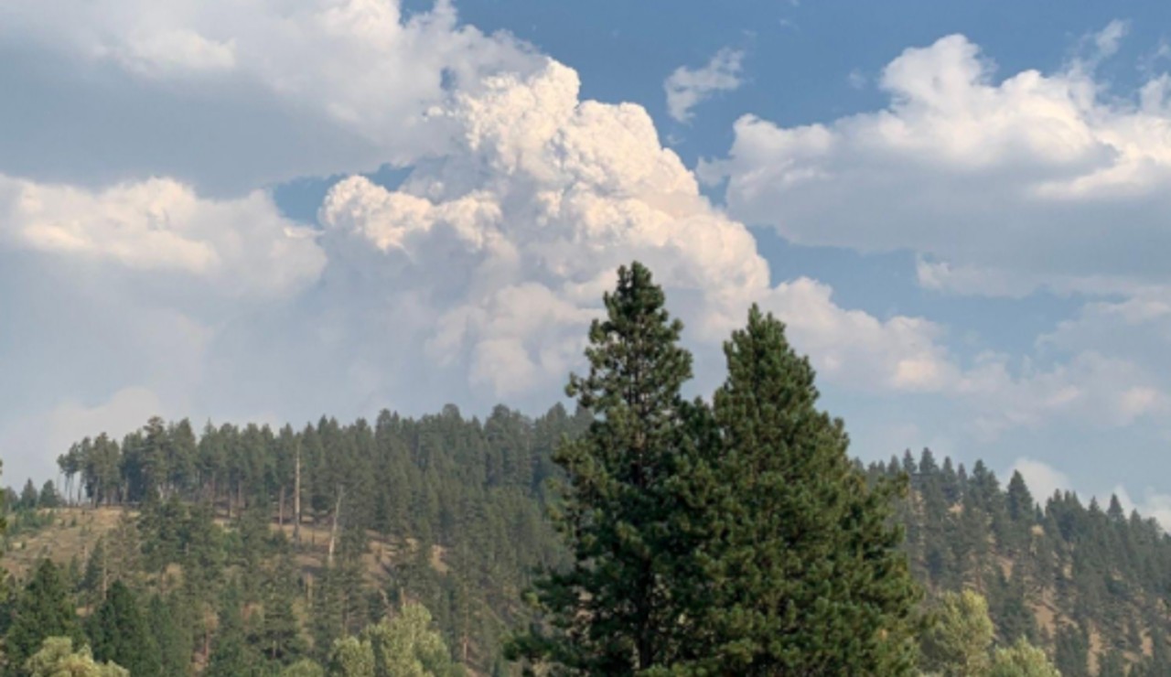 Trail Ridge Fire grows to 13,200 acres - Vimarsana News
