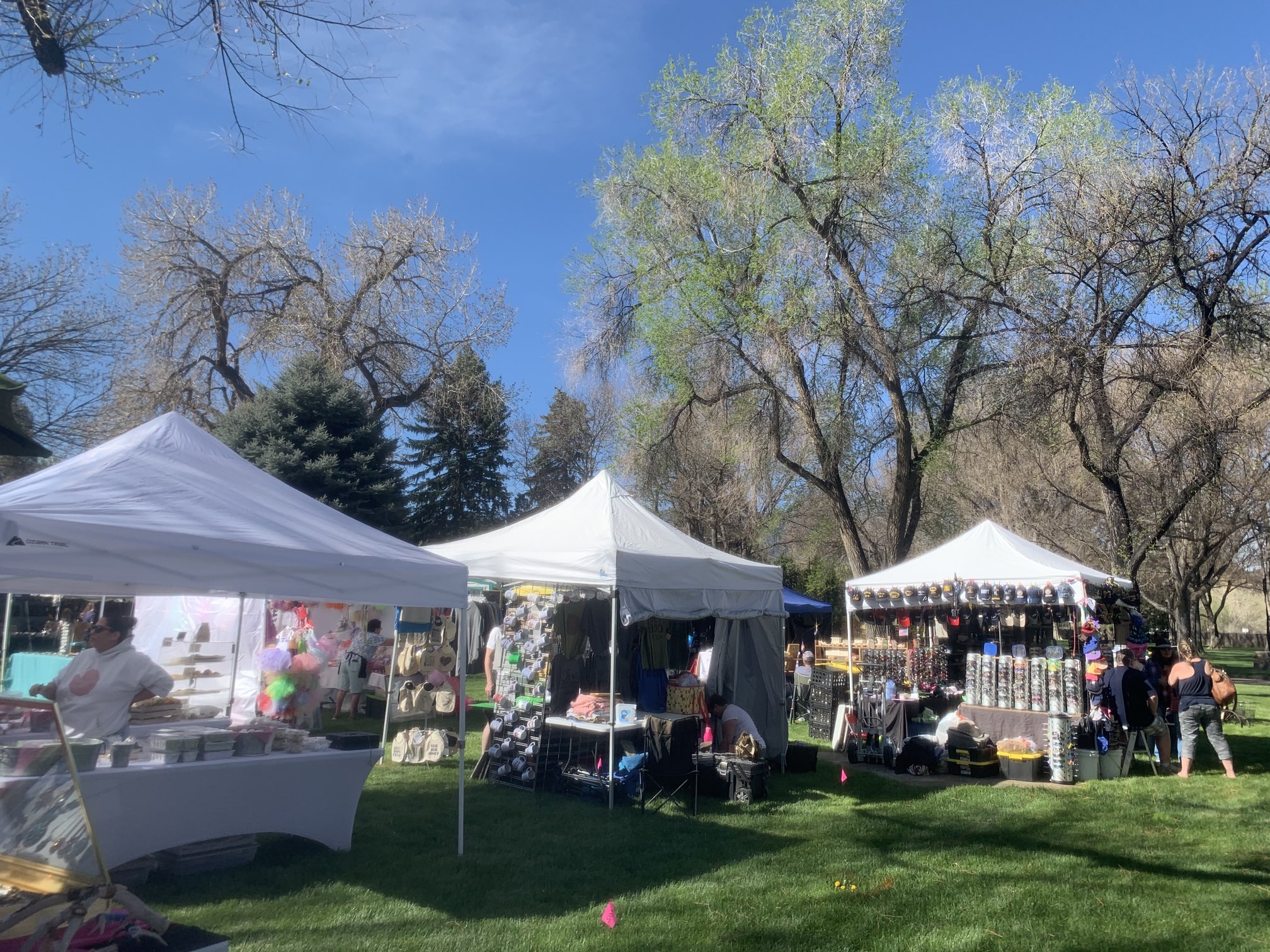 Canon City Community welcomes back 83rd annual Blossom Festival - Vimarsana News