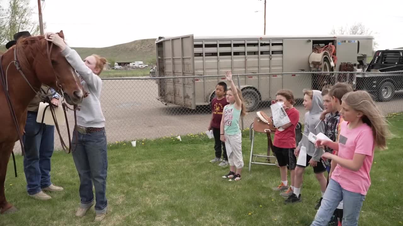 Ag Day celebrated at Shelby Elementary School - Vimarsana News