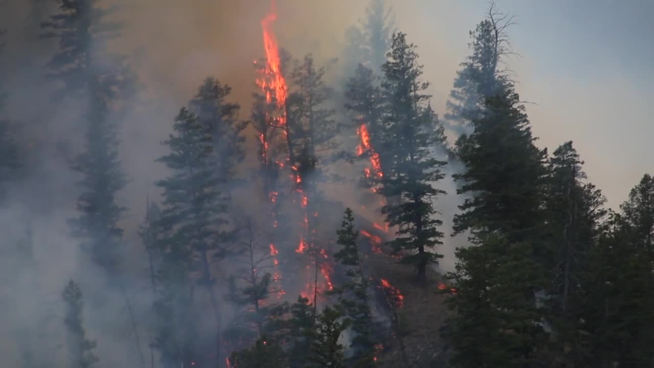 Moose Fire grows to 40,388 acres - Vimarsana News