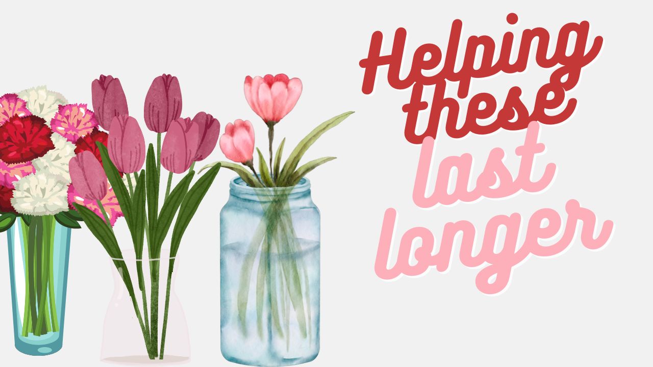 Let Me Help: Helping your flowers last a long time - Vimarsana News