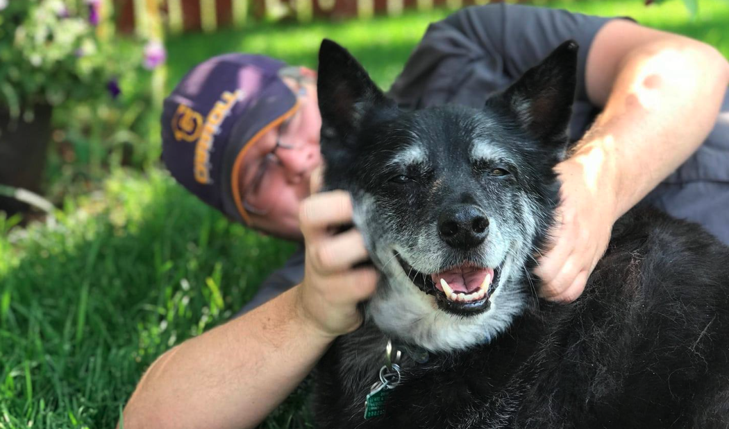 Lewis and Clark Humane Society looking for adoption stories - Vimarsana News