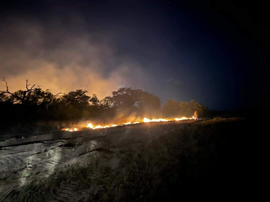 Blanket fire in Brooks County chars an estimated 3,000 acres - Vimarsana News