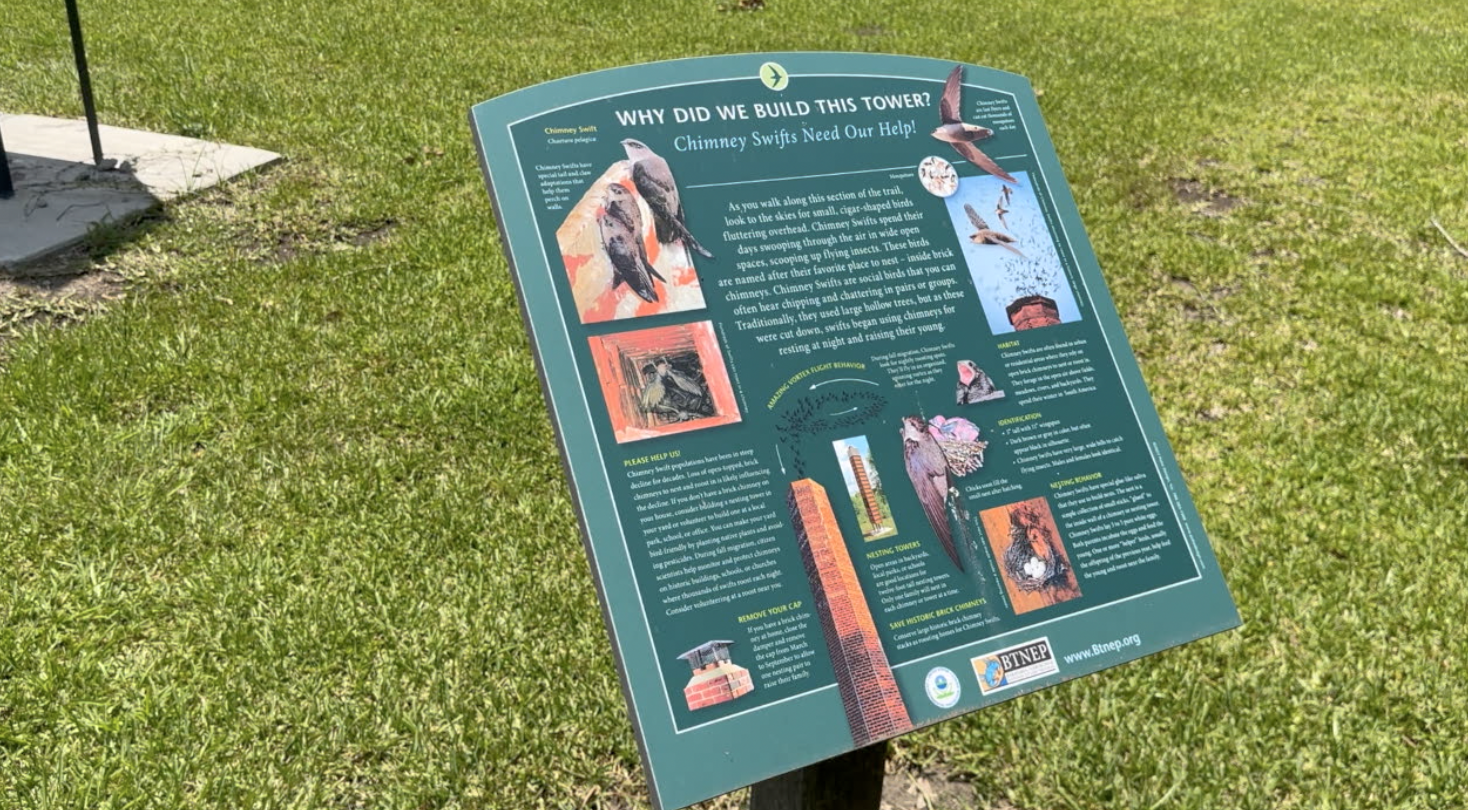 Longfellow-Evangeline State Historic Site celebrates World Swift Day - Vimarsana News