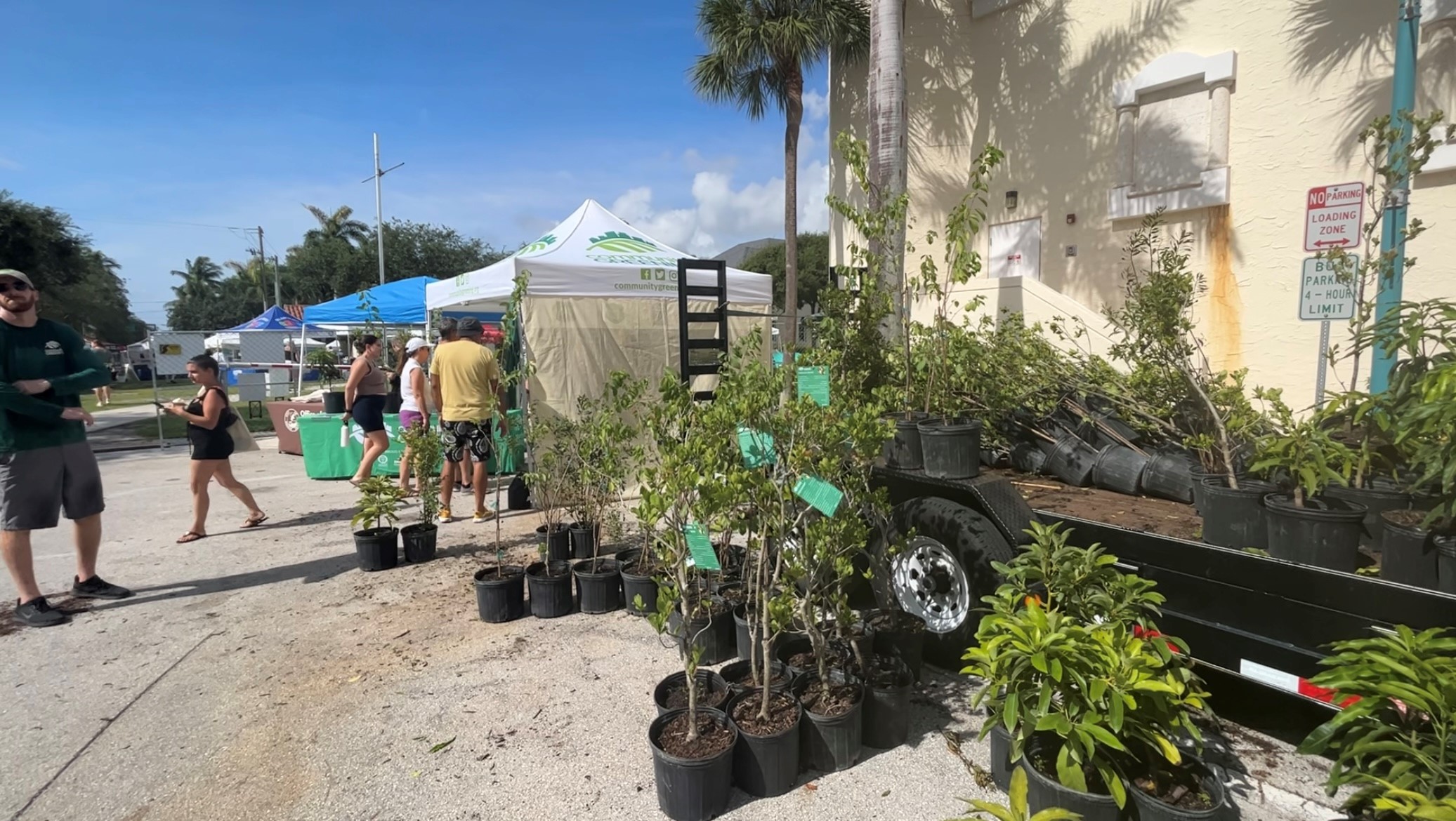 Free native trees to be given out across Palm Beach County - Vimarsana News
