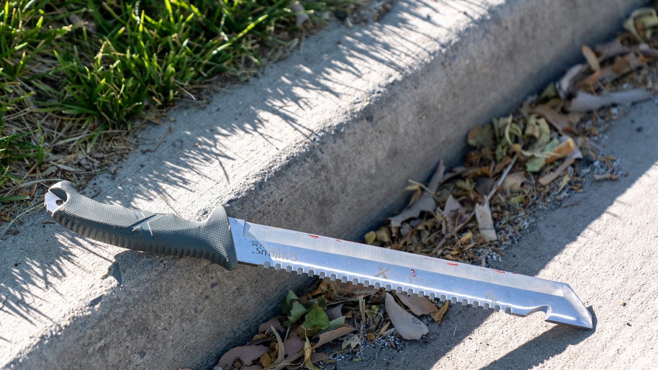 Salt Lake City man arrested for machete attack - Vimarsana News