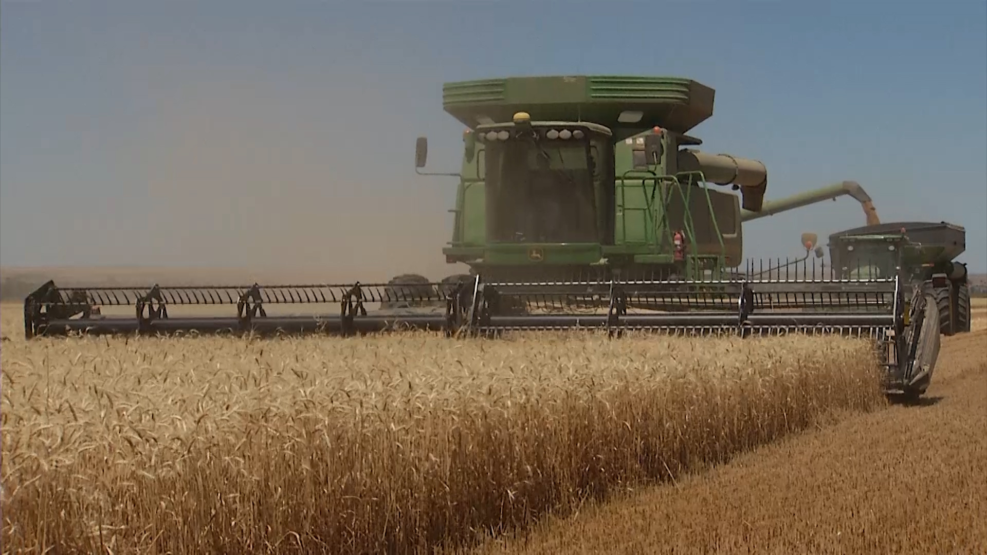 Montana Ag Network: A look at the Winter Wheat harvest - Vimarsana News