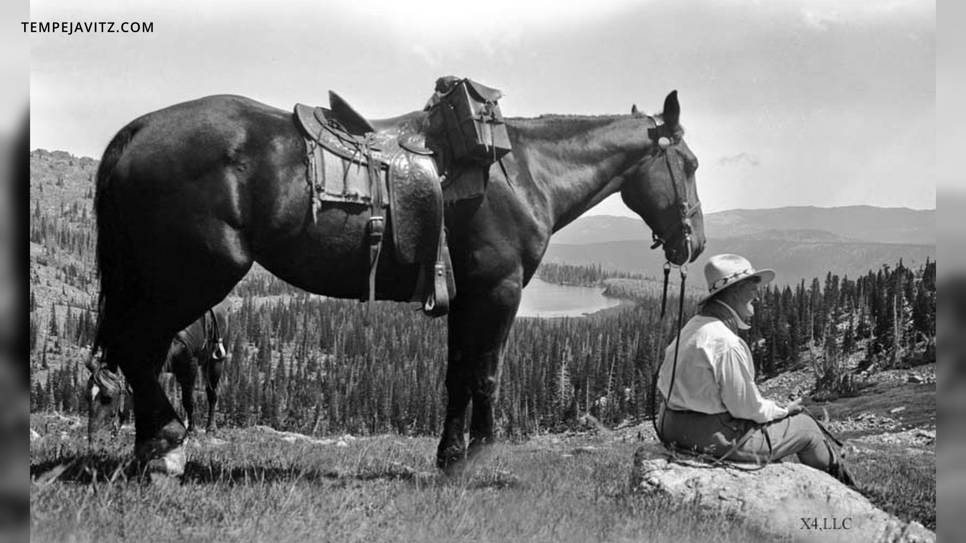 Early 1900s Montana photographer's work rediscovered by granddaughter - Vimarsana News