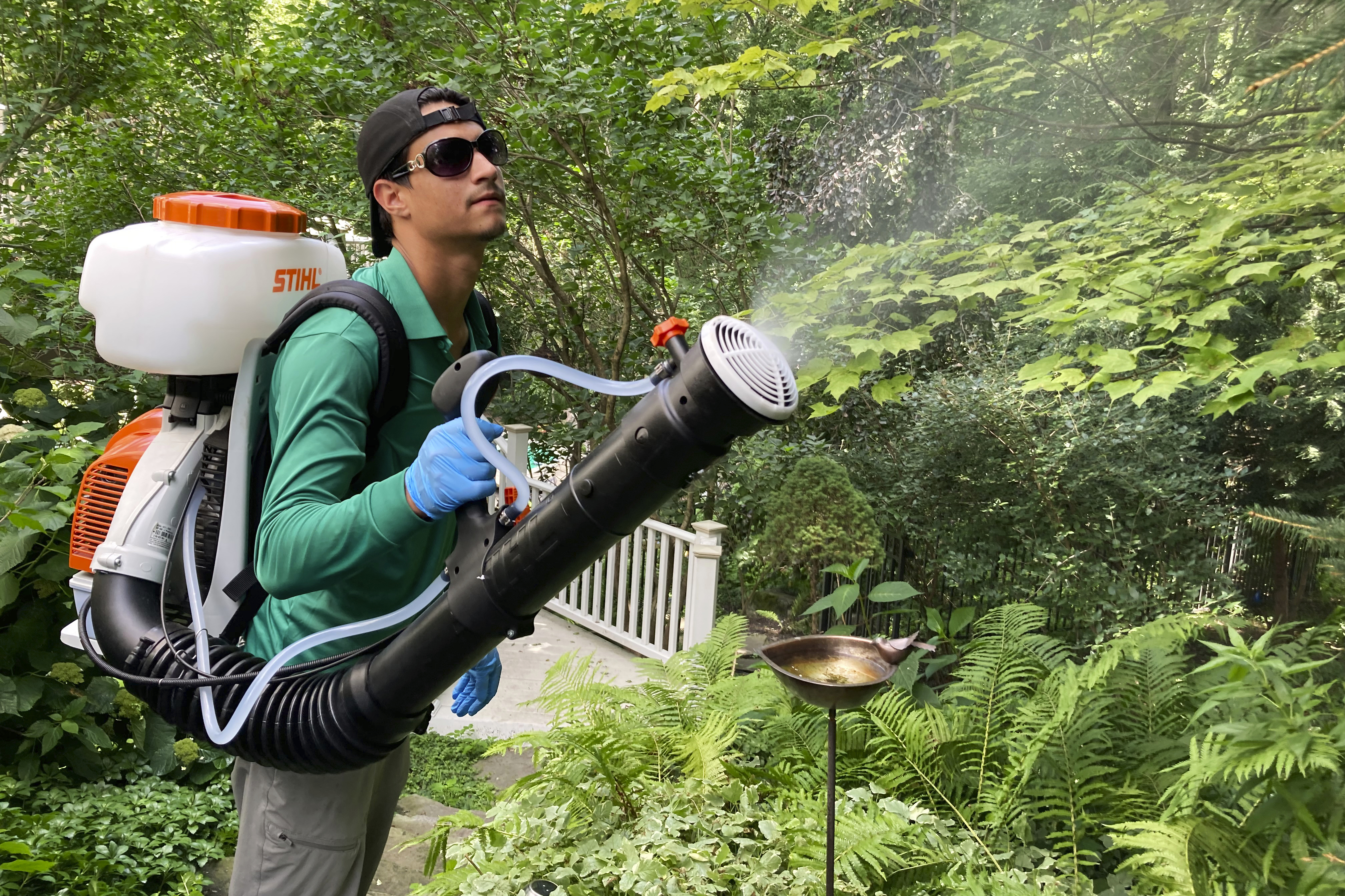 Backyard mosquito spraying booms, but may be too deadly - Vimarsana News