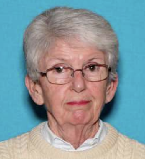 Rochester police seeking public's help in locating a missing 79-year-old woman - Vimarsana News