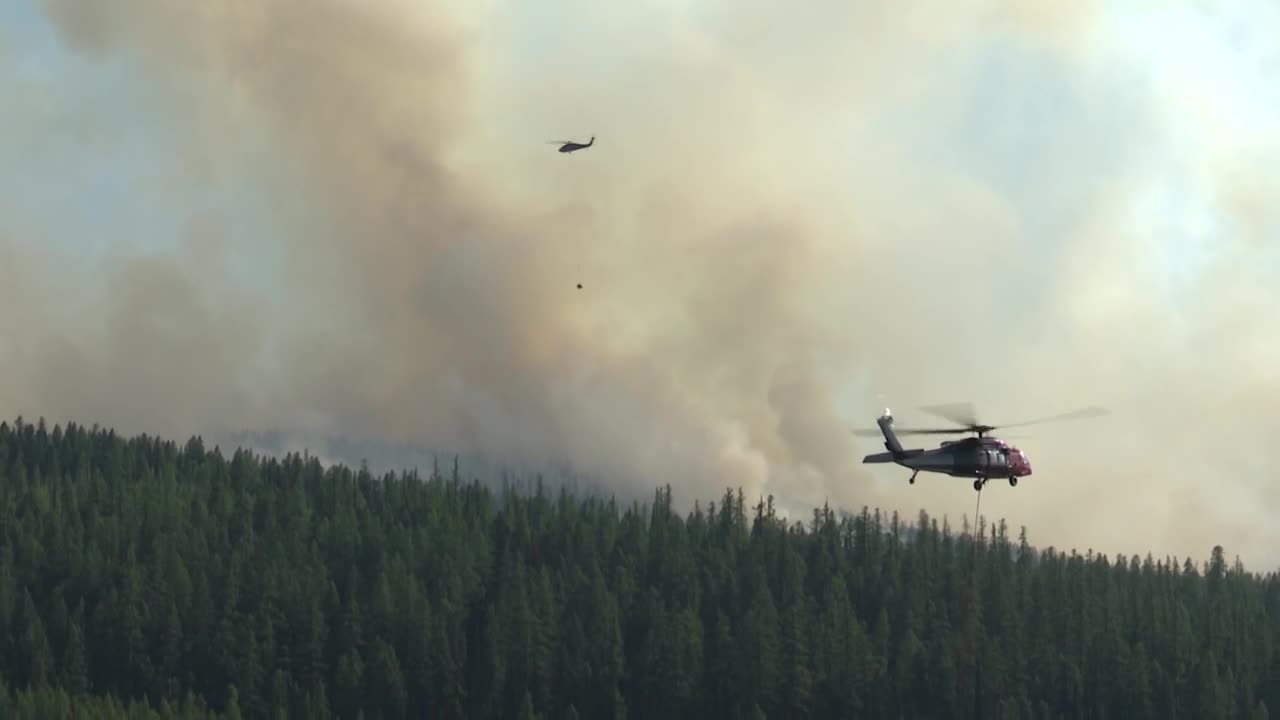 UPDATE: Colt Fire grows to 1,000 acres, evacuation order in place - Vimarsana News