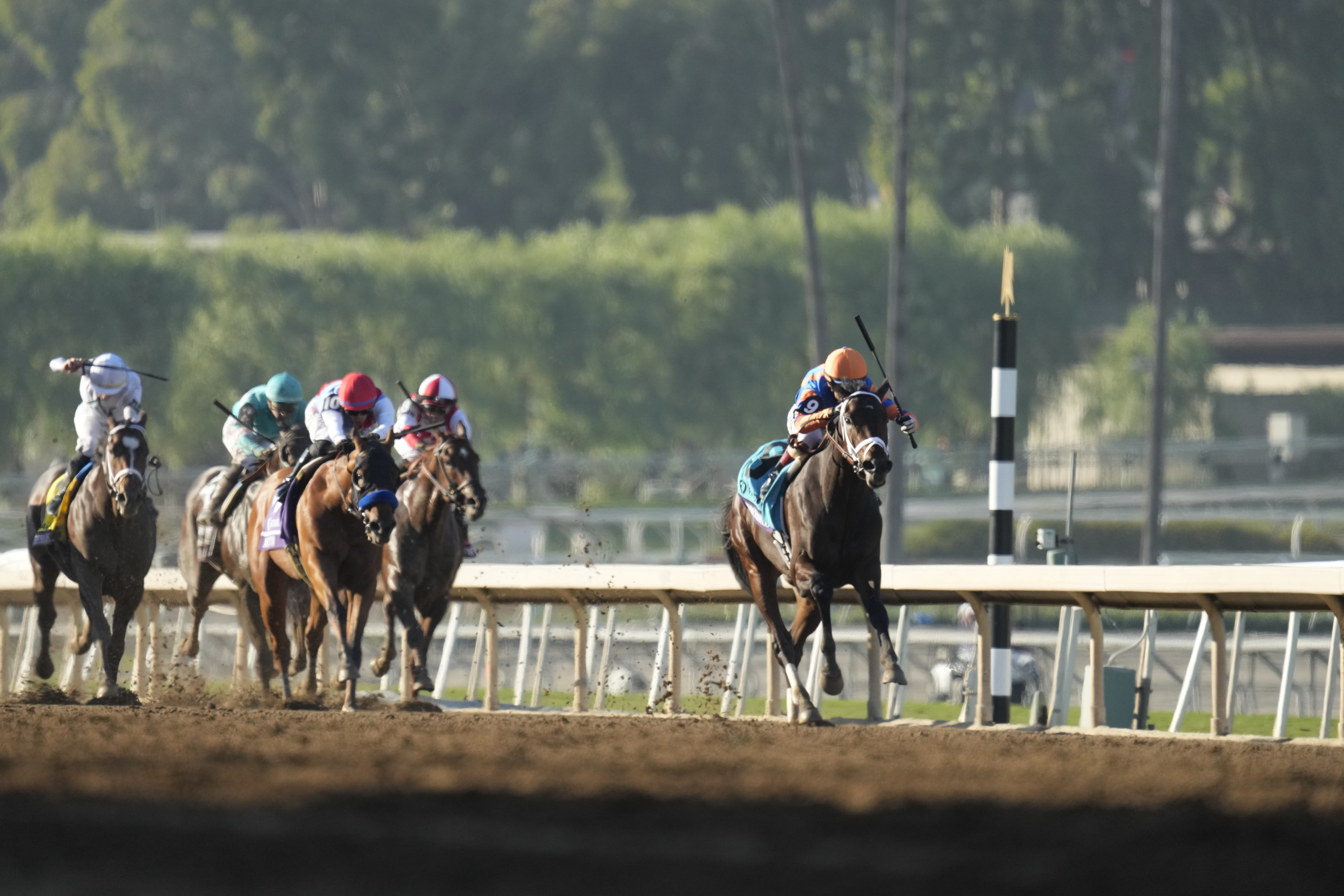 16-1 shot Fierceness wins Breeders' Cup Juvenile for trainer Todd Pletcher - Vimarsana News