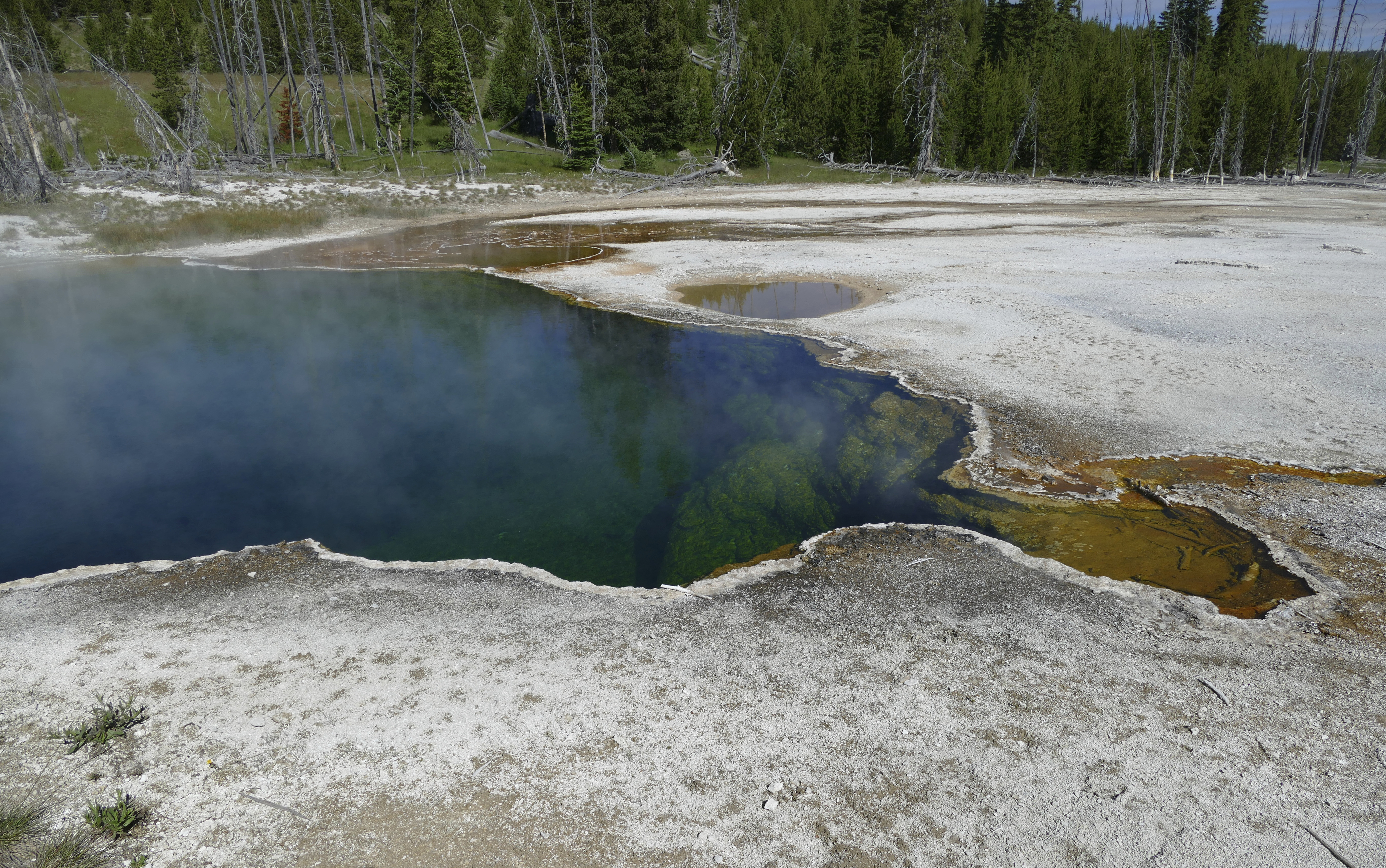 Foot found in Yellowstone hot pool ID'd as that of LA man - Vimarsana News