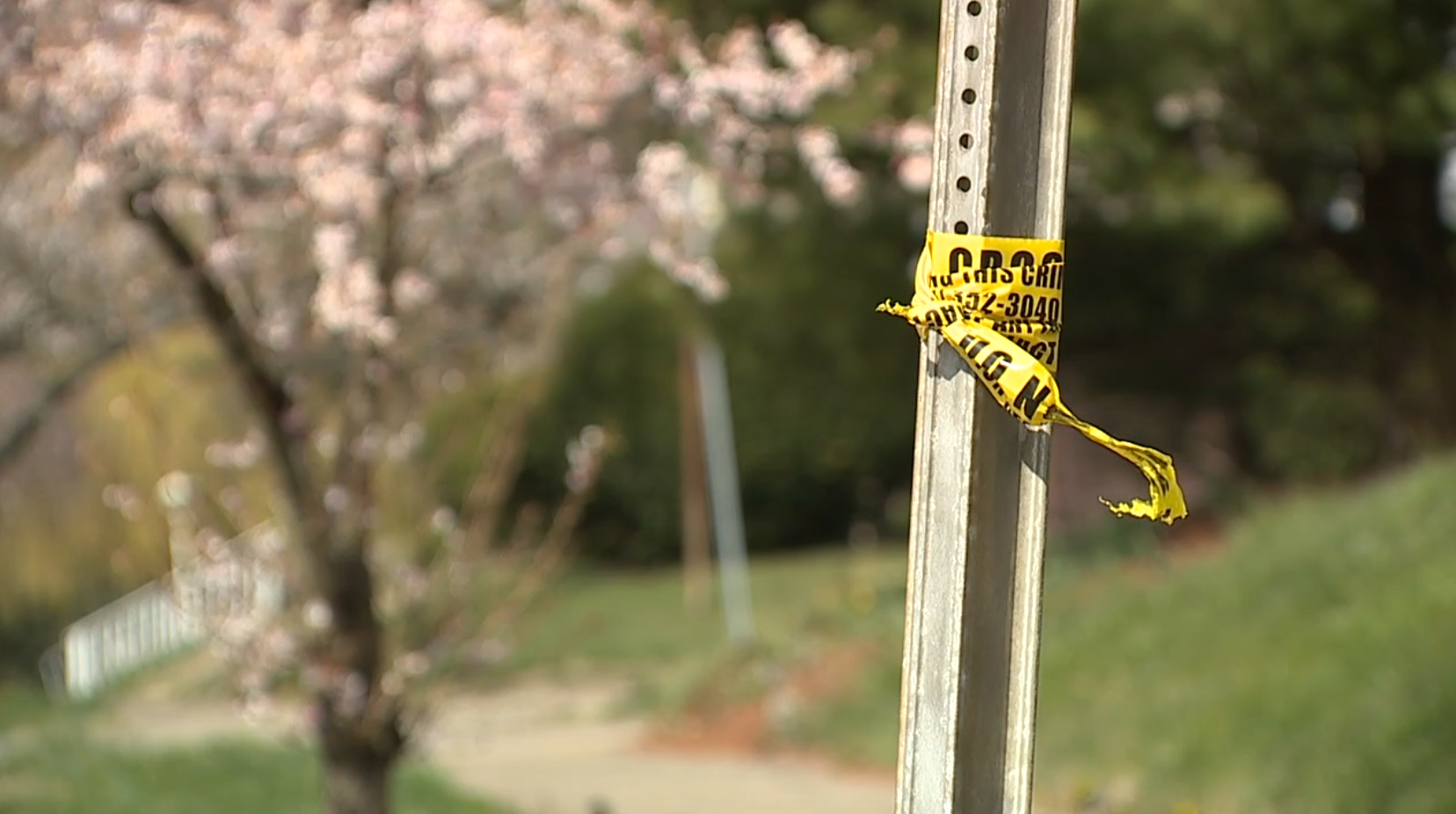 Neighbors: Stray bullet hit woman driving in West Price Hill - Vimarsana News