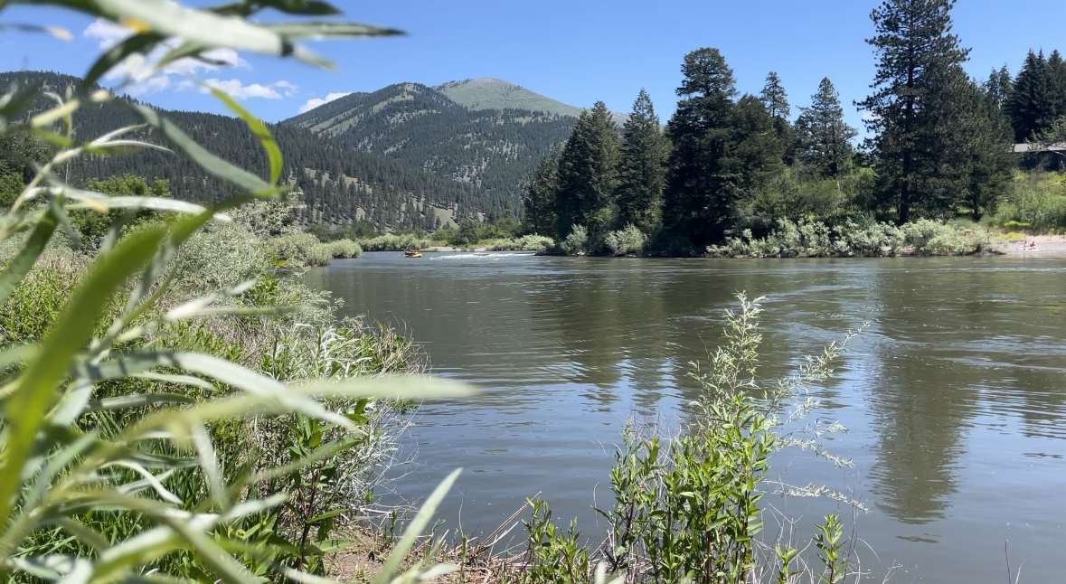 Federal grant to help preserve fish, floating on Clark Fork River - Vimarsana News
