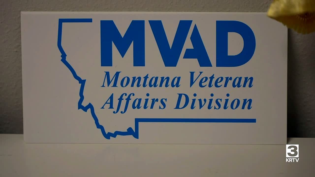 Wanted: input from veterans about long-term care services network - Vimarsana News