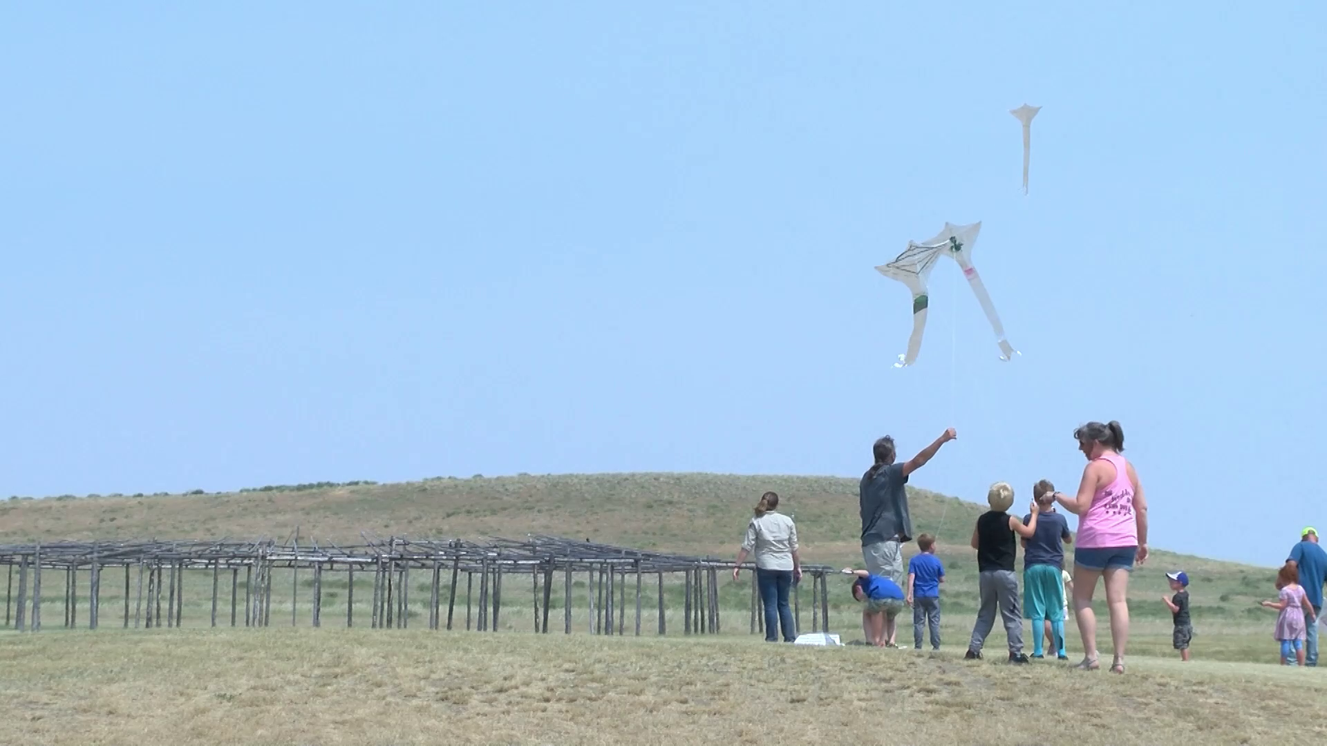 Taking to the sky at the Buffalo Kite Festival - Vimarsana News