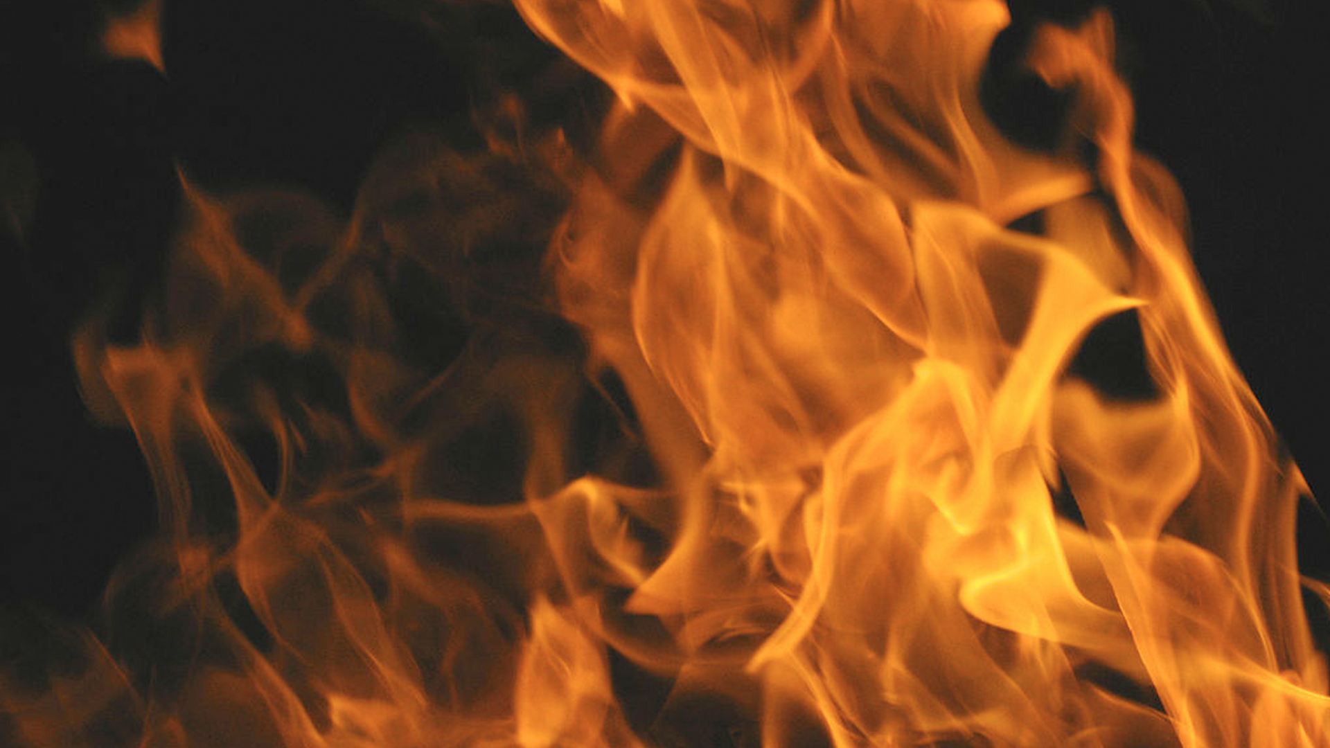 Vegetation management credited for slowing spread of fire in Paso Robles riverbed
