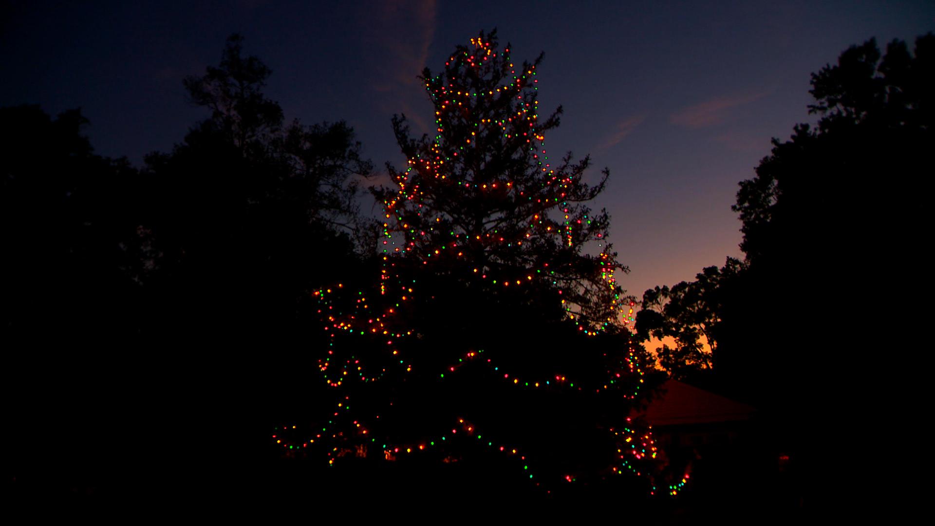 Family decorates Christmas tree in June for father living with cancer - Vimarsana News