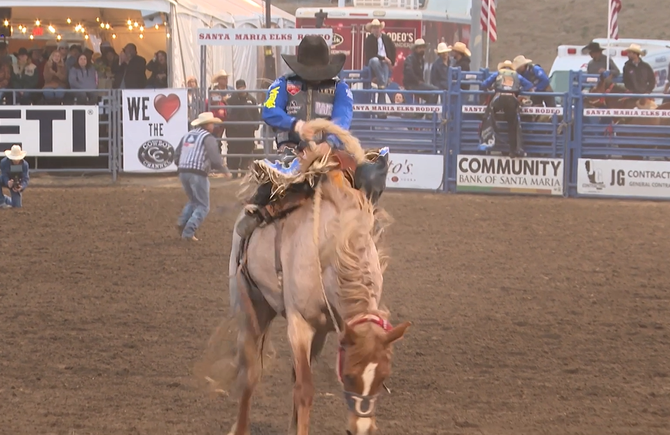 'Hottest ticket in town': Rodeo brings big names to the Central Coast - Vimarsana News