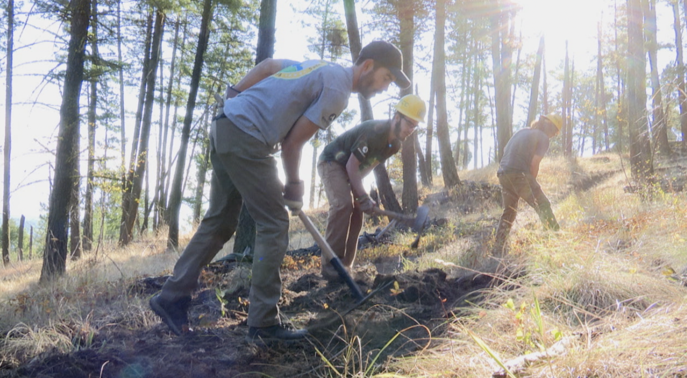National Trails Day requires volunteers to maintain trails in the Flathead - Vimarsana News