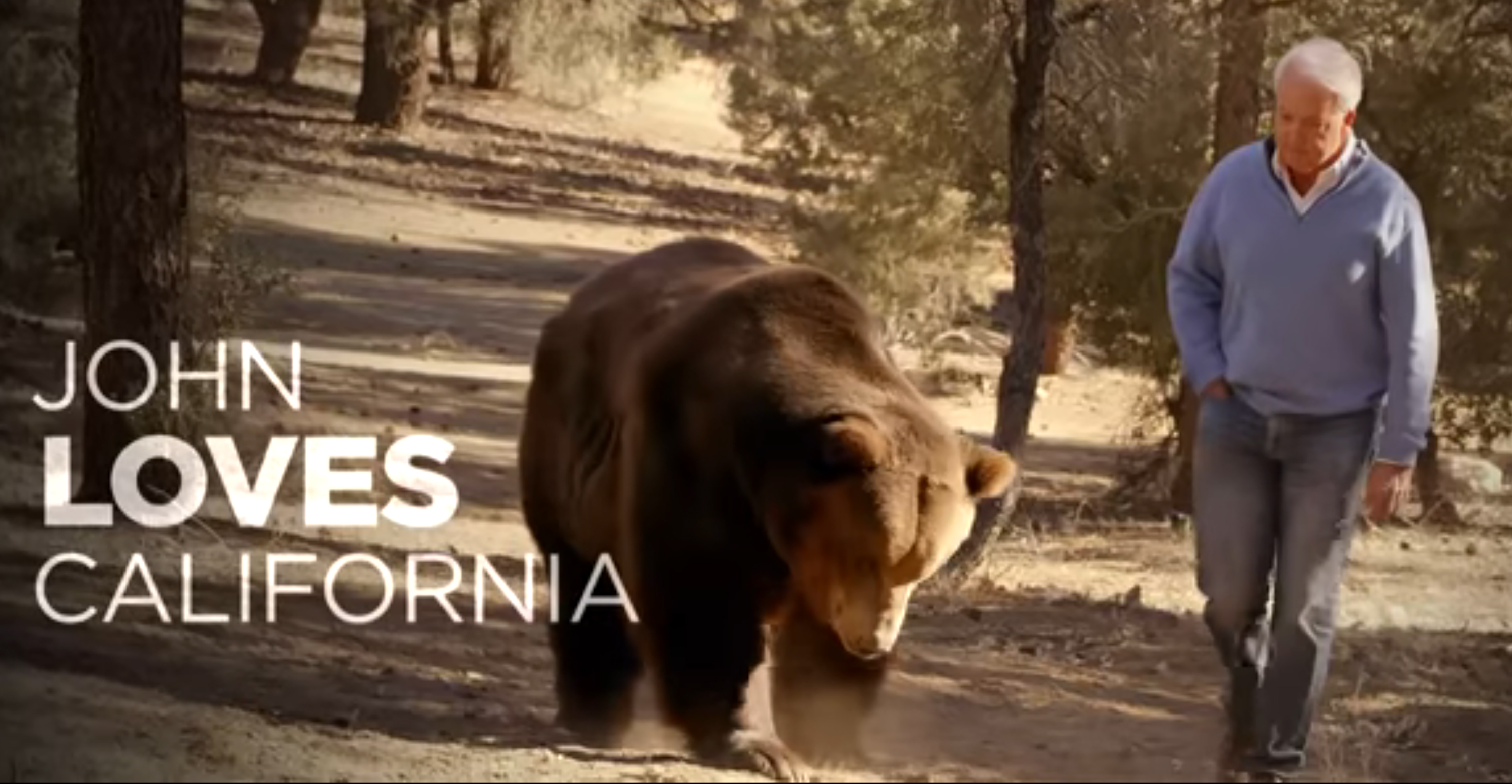 GOP gubernatorial candidate John Cox brings bear back to campaign trail in San Diego - Vimarsana News