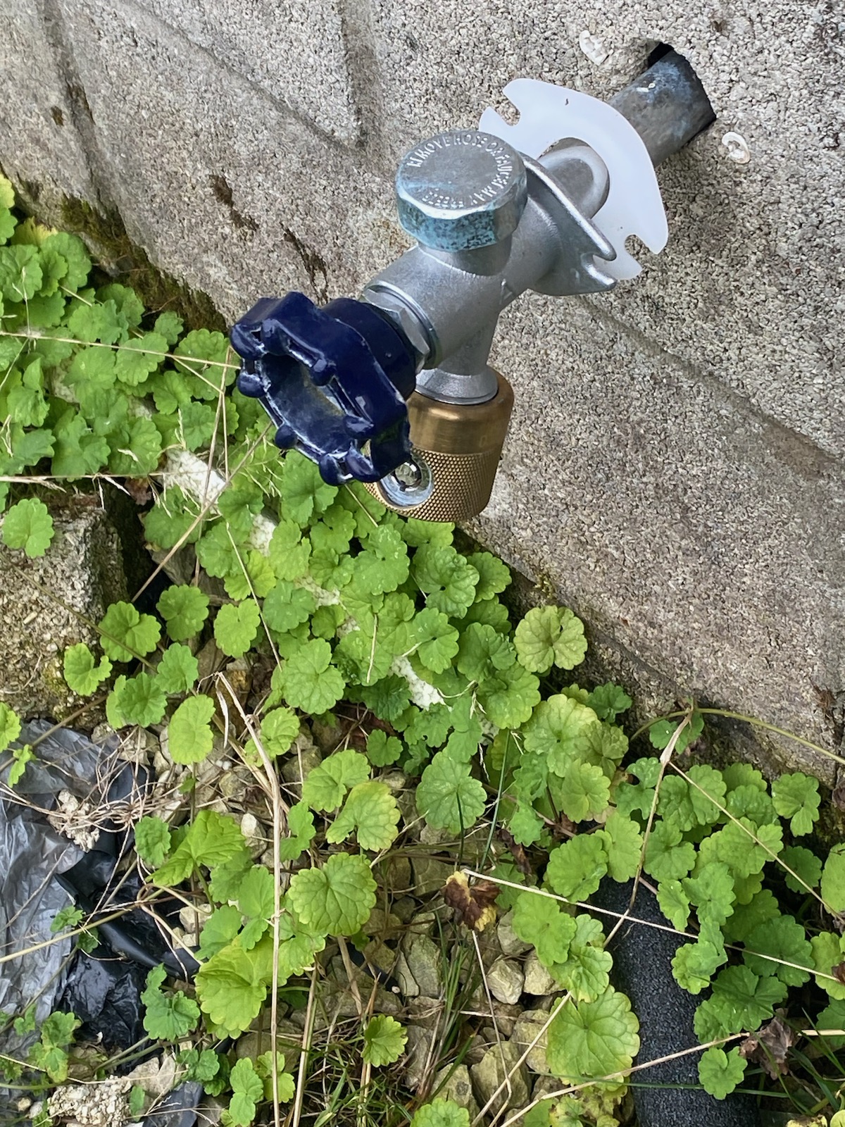 Bath County woman wants answers after getting $1,000 water bill - Vimarsana News