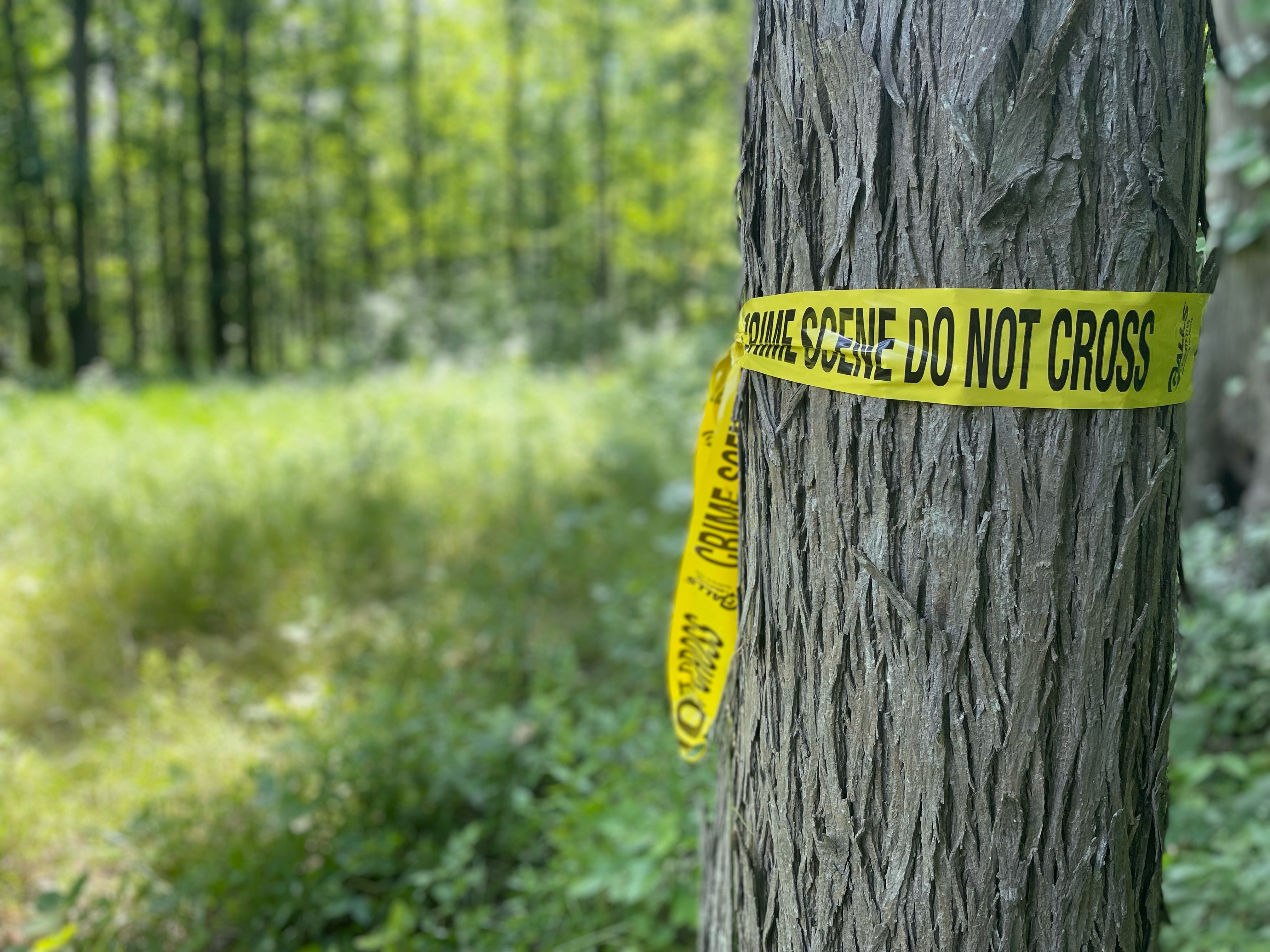 Man found dead in wooded area off Heltz Road in Lakeview after alleged assault - Vimarsana News