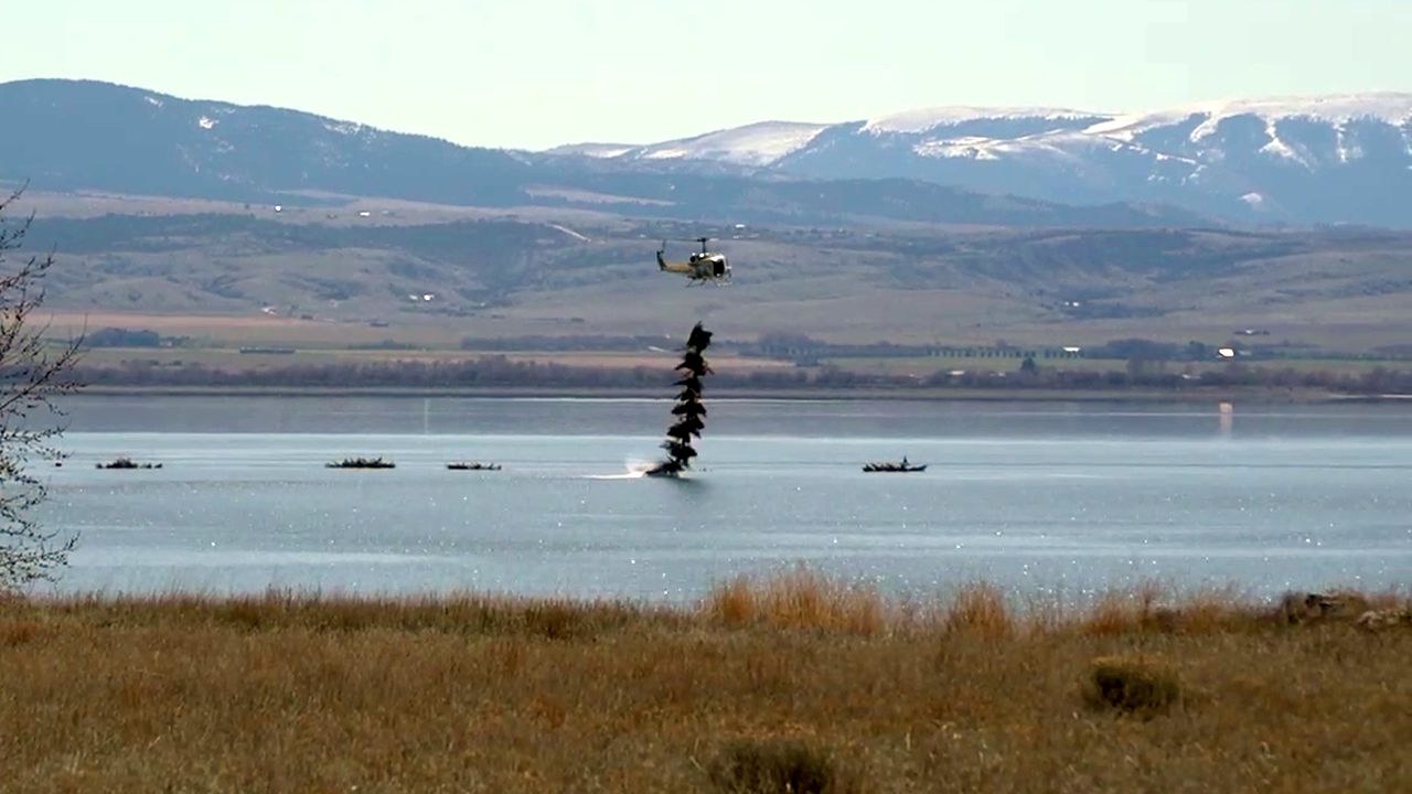 'Pines For Perch' provides fish habitat in Montana - Vimarsana News