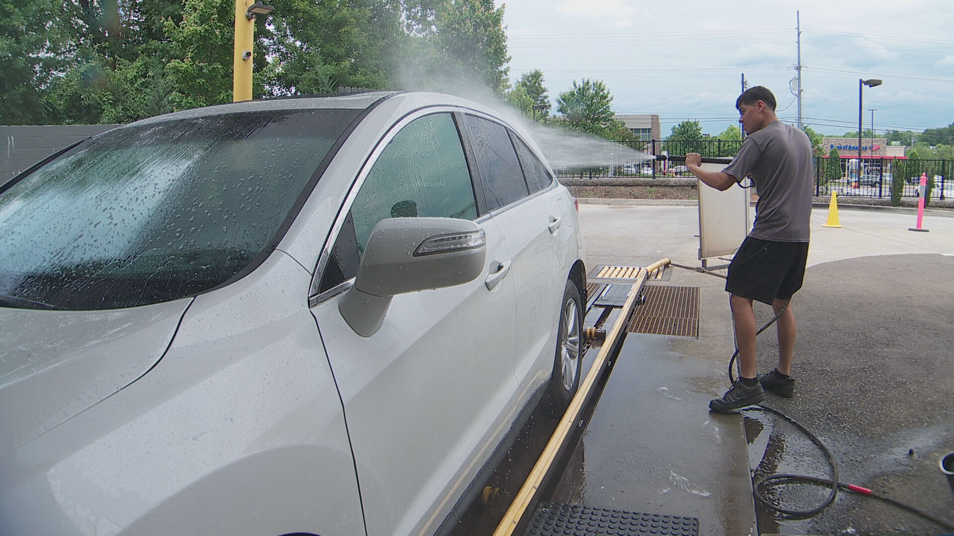 Cicadas are driving Middle Tennesseans crazy unless you own a car wash - Vimarsana News