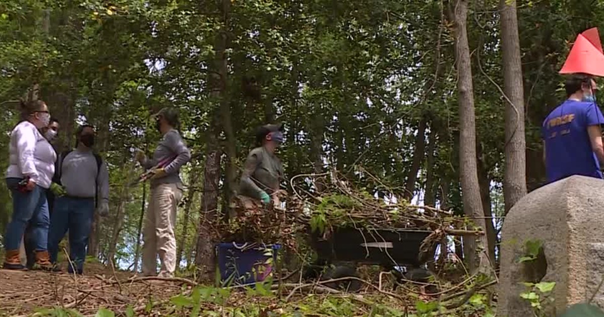Volunteers work to clean up Richmond cemetery where enslaved from Three Chopt plantation are buried - Vimarsana News