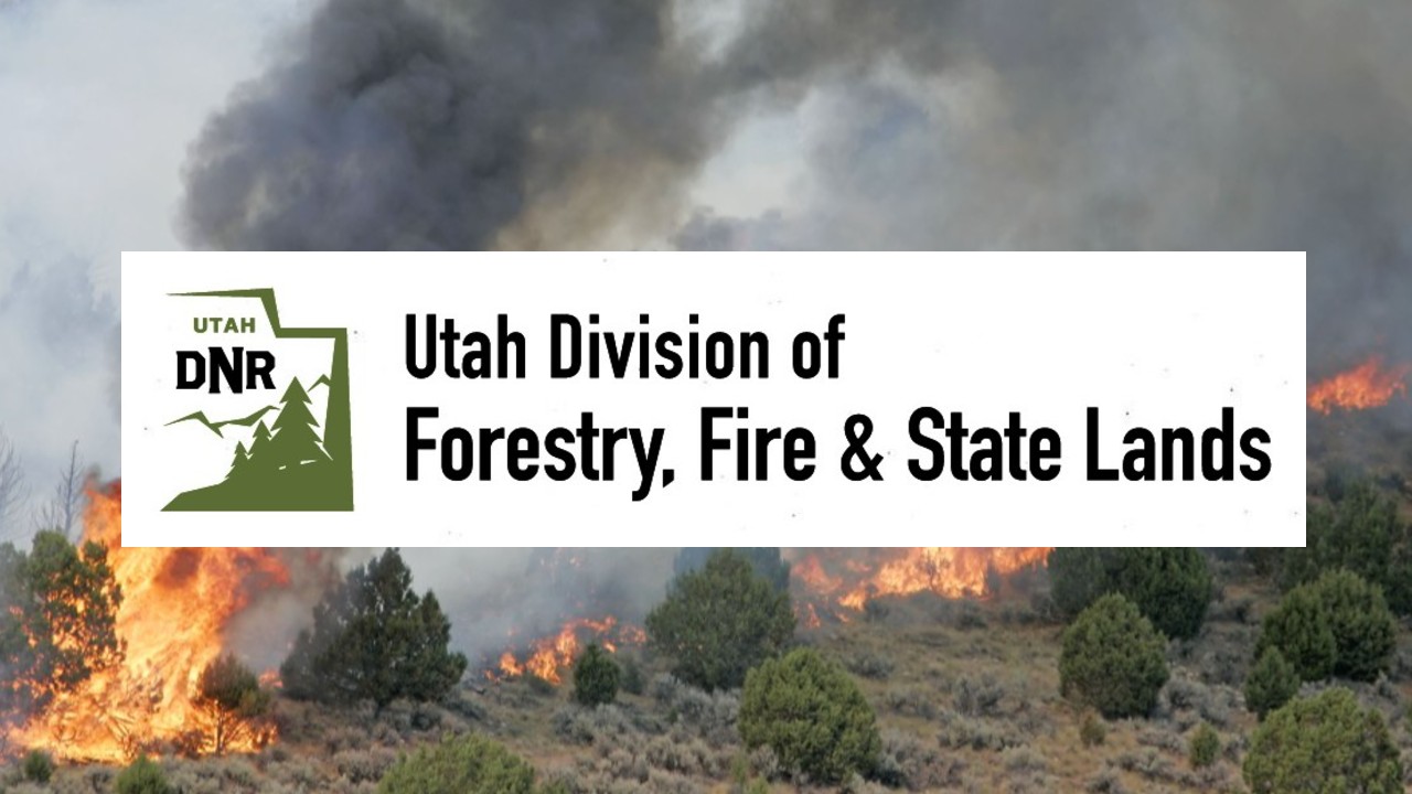 Utah in search of new State Forester as fire season approaches - Vimarsana News