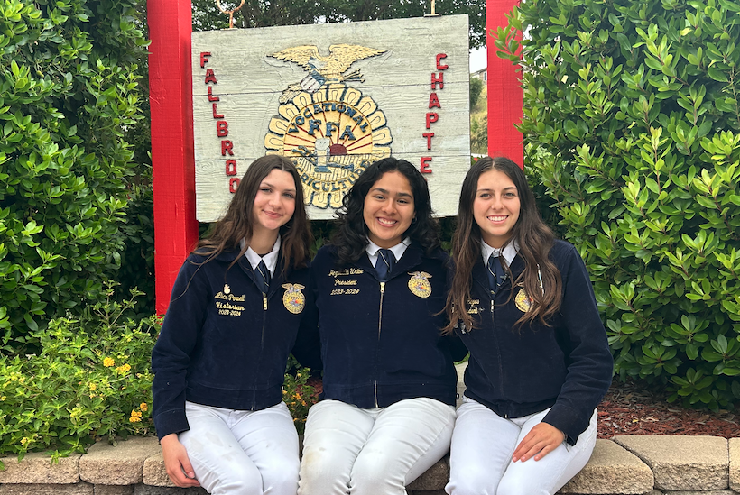 The biggest stage of their lives: Fallbrook FFA ready for San Diego County Fair - Vimarsana News