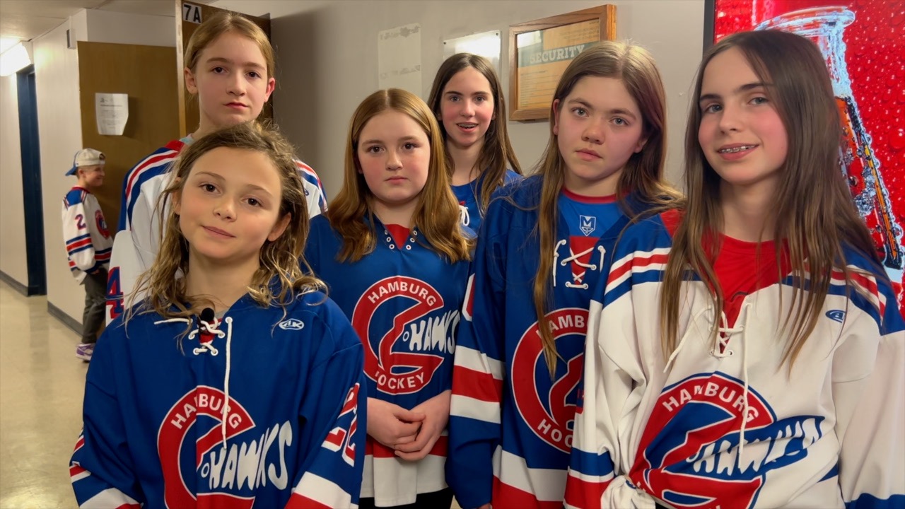 A plea to remodel the Nike Center Ice Rink in the Town of Hamburg - Vimarsana News