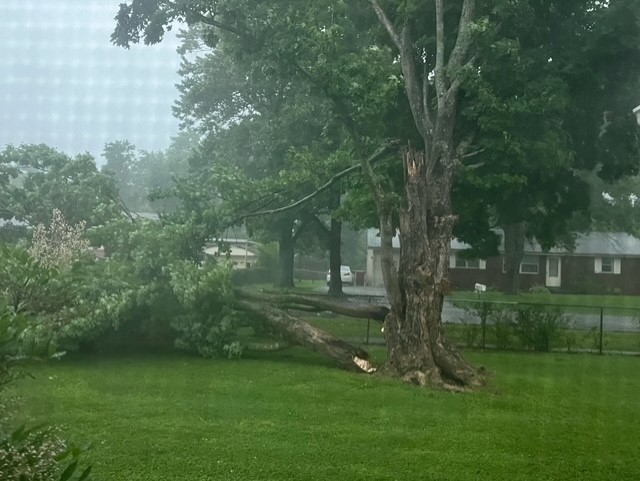 Check the latest outages as severe weather moves through the area - Vimarsana News