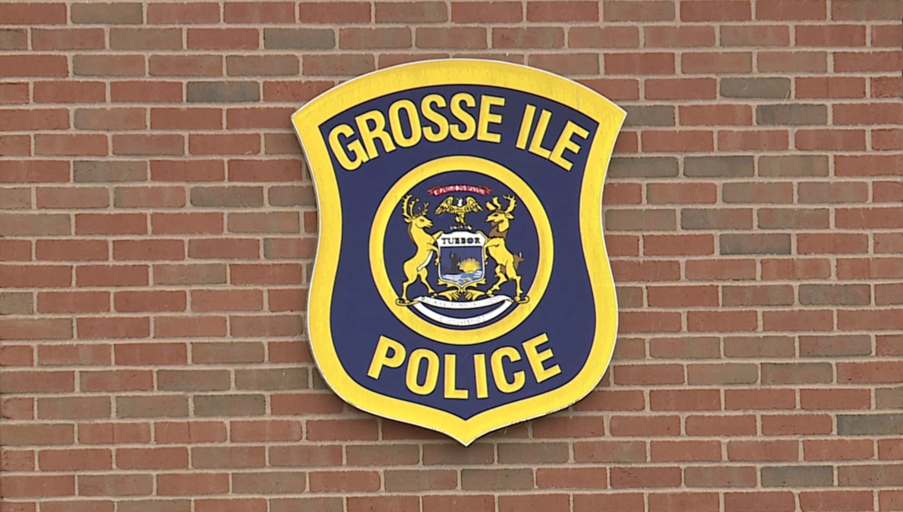 Grosse Ile Police Department's millage increase shut down by voters - Vimarsana News