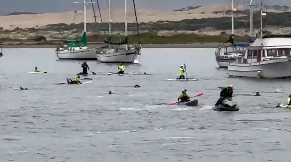 Why 300 athletes did not finish this year's Morro Bay Ironman race - Vimarsana News