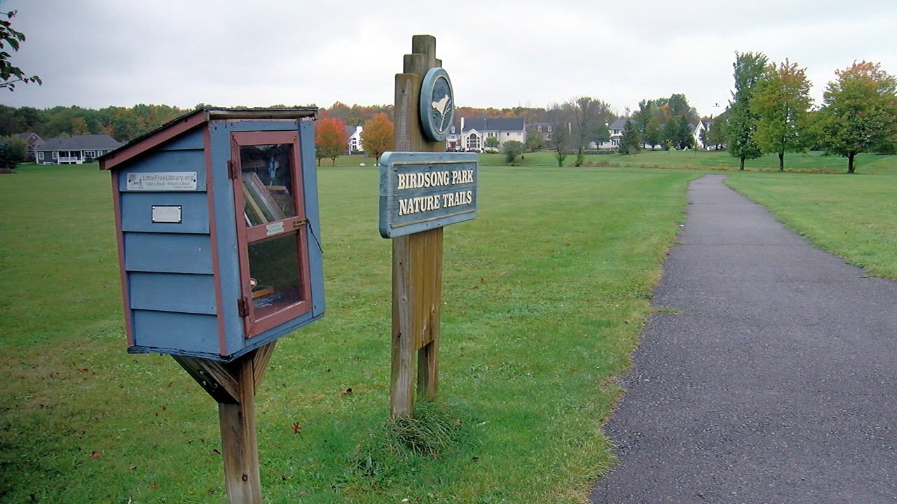 Orchard Park approves trap and kill method to address beavers inhabiting park - Vimarsana News