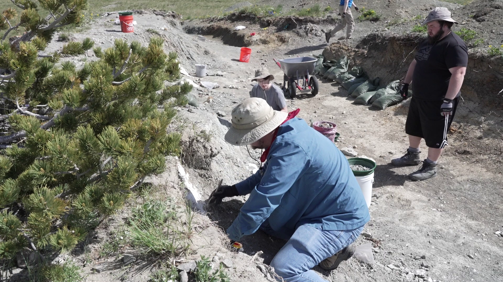 Digging up bones on the Montana Dinosaur Trail - Vimarsana News